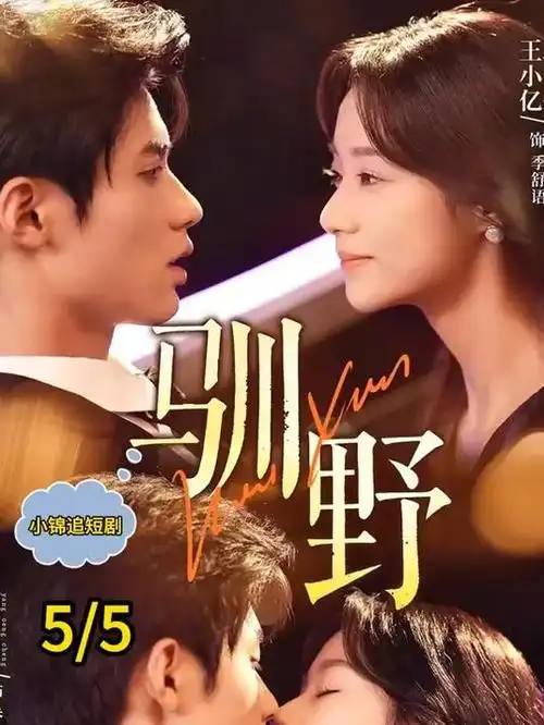 剧集作品长夜簿封面示意，网格坐标底纹